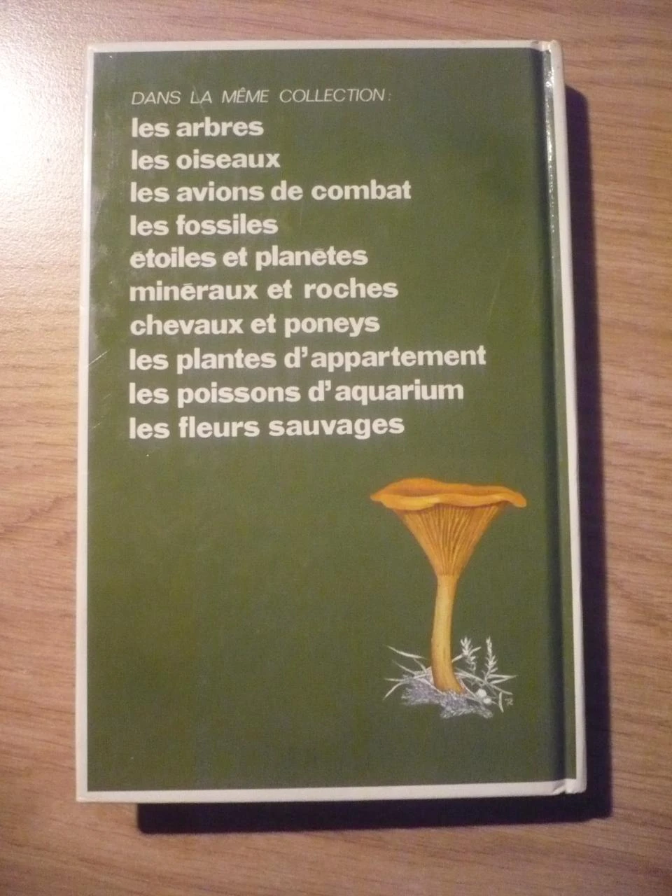 THE MUSHROOMS by Derek REID (1981) – photo 2